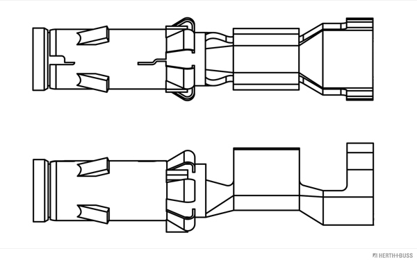 50251868.JPG